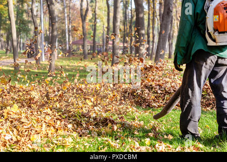 Exploitation des travailleurs souffleuse à feuilles heavy duty dans city park. Suppression de feuilles tombées en automne. Tourbillonnant de feuilles. Nettoyage du feuillage à l'automne Banque D'Images
