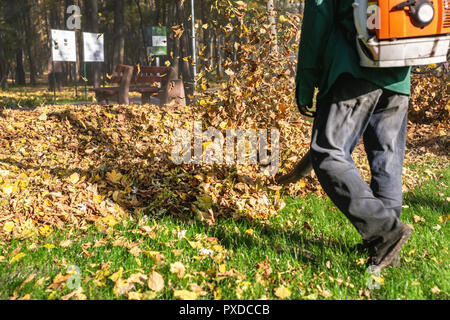 Exploitation des travailleurs souffleuse à feuilles heavy duty dans city park. Suppression de feuilles tombées en automne. Tourbillonnant de feuilles. Nettoyage du feuillage à l'automne Banque D'Images