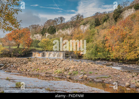 Yorkshire Dales National Park paysage d'automne, des couleurs d'automne à Wath Wain Falls, Swaledale, UK Banque D'Images