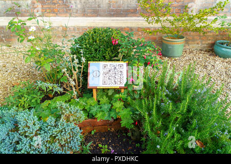 QR code pour l'Ordre des marraines site web sur petite carte parmi les plantes dans un jardin Banque D'Images