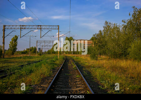 La voie du train à l'électricité au-dessus des lignes pour le transport écologique et vert de la végétation sauvage poussant sur une chaude journée ensoleillée Banque D'Images