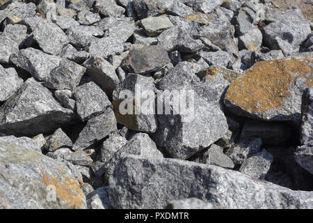 Construction, réparation, outils - pierre de granit pile abstract background Banque D'Images