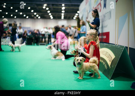 Londres, Royaume-Uni. 21 octobre, 2018. Découvrez les chiens 2018, le plus grand événement de chiens de Londres a eu lieu cette année au centre Excel. Avec plus de 200 races à l'honneur, et plus de 3 000 chiens présents le spectacle a été l'hôte de compétitions, Scrufts, étals de reproduction, et les organismes de bienfaisance. © Simon King/ Alamy Live News Banque D'Images