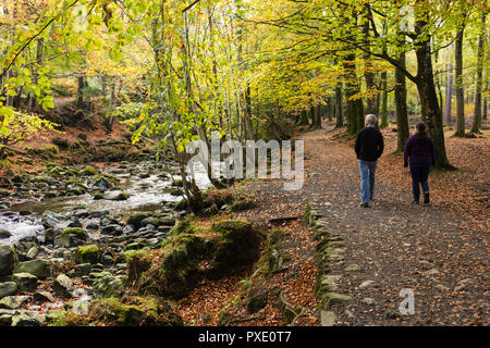 Newcastle, N.Ireland, 21 octobre, 2018. UK Météo : ensoleillé intervalles dans l'après-midi après une matinée humide gris. Un couple de profiter d'un après-midi pour une promenade autour de Tollymore Forest Park pour profiter de la couleurs de l'automne. Crédit : Ian Proctor/Alamy Live News Banque D'Images