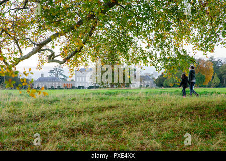 Celbridge, Kildare, Irlande : 21 octobre 2018. Météo Irlande : Beatuful dimanche après-midi avec des éclaircies après matin humide. L'automne bat son plein dans le parc de Castletown. Crédit : Michael Grubka/Alamy Live News Banque D'Images