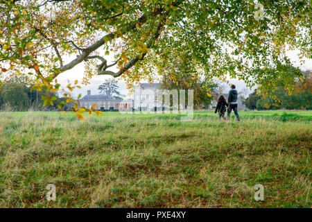 Celbridge, Kildare, Irlande : 21 octobre 2018. Météo Irlande : Beatuful dimanche après-midi avec des éclaircies après matin humide. L'automne bat son plein dans le parc de Castletown. Crédit : Michael Grubka/Alamy Live News Banque D'Images