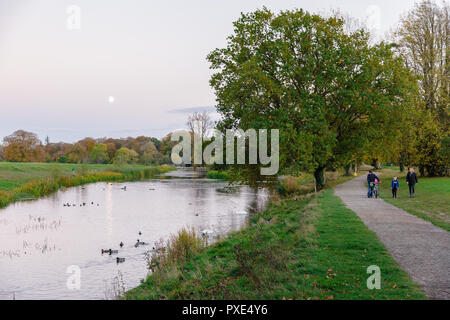 Celbridge, Kildare, Irlande : 21 octobre 2018. Météo Irlande : Beatuful dimanche après-midi avec des éclaircies après matin humide. L'automne bat son plein dans le parc de Castletown. Crédit : Michael Grubka/Alamy Live News Banque D'Images