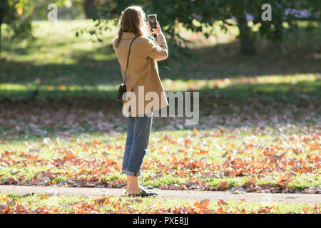 London UK. 22 octobre 2018. Une femme jouit du soleil d'automne on a bright sunny et froid matin d'octobre dans la région de Hyde Park London Crédit : amer ghazzal/Alamy Live News Banque D'Images