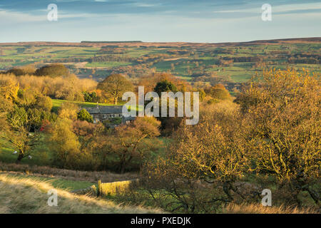 Voir plus haut avec Wharfedale pittoresque cottage & autumn trees éclairées par la lumière du soleil du matin - de Burley Woodhead, West Yorkshire, Angleterre, Royaume-Uni. Banque D'Images