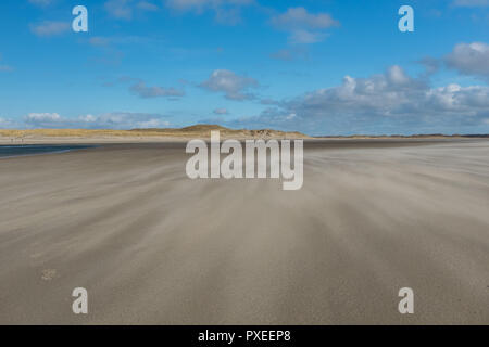 De Vue sur une réserve naturelle de Slufter, Texel, le mardi 28 février 2017, Texel, aux Pays-Bas. Banque D'Images