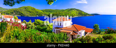 Belle Baie de Panormos,vue panoramique,Sporades ,île de Skopelos, Grèce. Banque D'Images