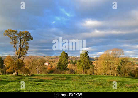 Avis de Westerham populaires à Chartwell à pied le jour du Souvenir 2017. Chartwell a été accueil de Winston Churchill. Couleurs d'automne abondent. Weald Kent view Banque D'Images