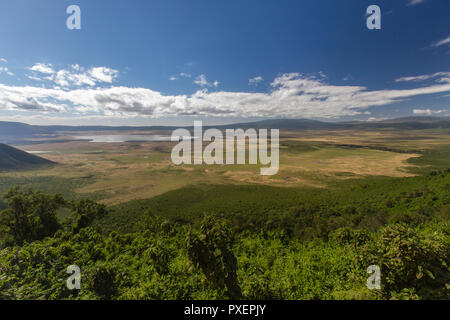 Le cratère du Ngorongoro, Tanzanie vue Banque D'Images