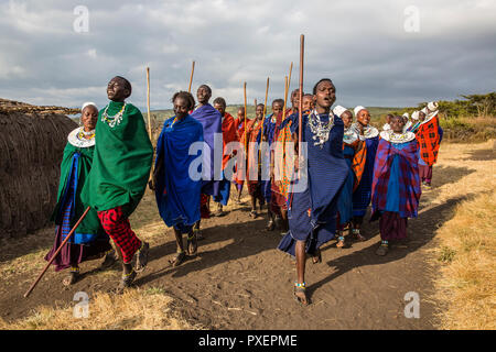 Cérémonie Maasai au cratère du Ngorongoro en Tanzanie Banque D'Images