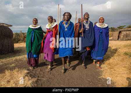 Cérémonie Maasai au cratère du Ngorongoro en Tanzanie Banque D'Images