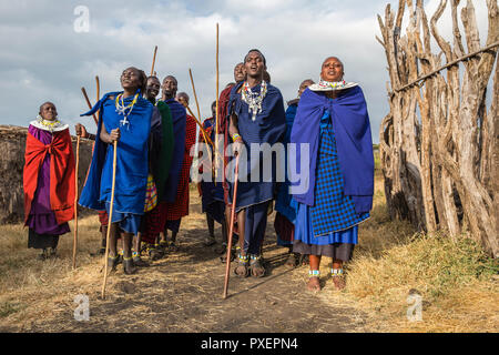 Cérémonie Maasai au cratère du Ngorongoro en Tanzanie Banque D'Images