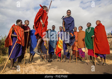 Saut (cérémonie Maasai Adamu) au cratère du Ngorongoro en Tanzanie Banque D'Images