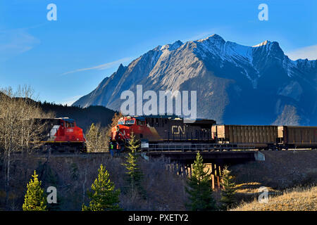 Un paysage horizontal image de deux trains de marchandises passant sur un autre sur un pont en fer dans le parc national Jasper, Alberta, Canada. Banque D'Images
