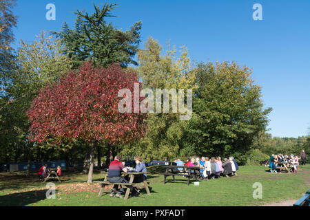 Des gens assis et de manger à des tables de pique-nique à l'extérieur du Canal de Basingstoke Visitor Centre à Mytchett, Surrey, UK, sur une journée ensoleillée d'automne Banque D'Images