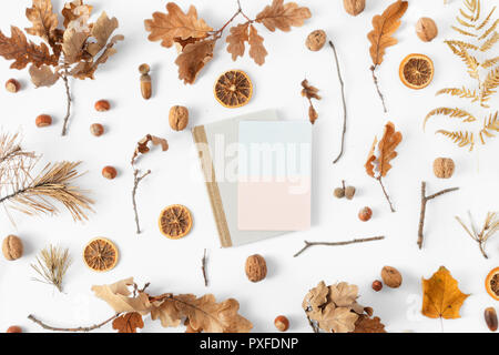 Haut afficher divers feuilles séchées avec carte blanche sur fond blanc. Automne, automne télévision concept lay. Composition d'automne Banque D'Images