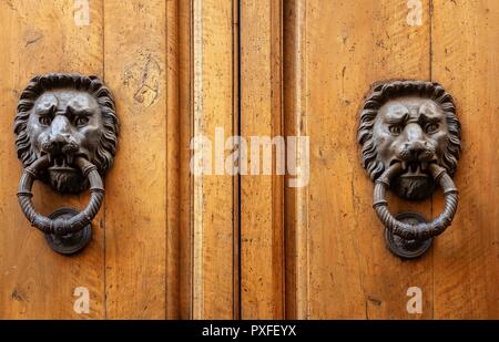 Ancienne tête de lion heurtoir de bronze sur une poignée de porte en bois Banque D'Images