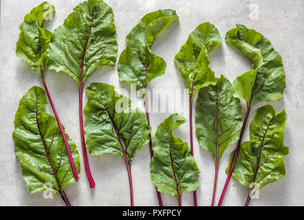 Feuilles de betteraves vert, légumes frais de la ferme, l'arrière-plan les feuilles des betteraves fraîchement récolté, le motif Banque D'Images