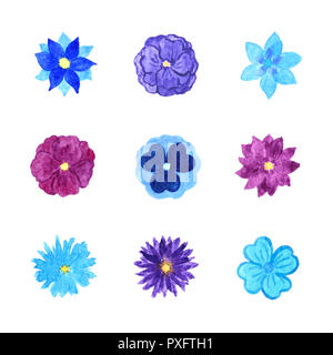 Ensemble de divers Bleu et Violet Aquarelle Fleurs isolé sur fond blanc Banque D'Images