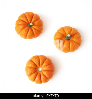 Composition d'automne de peu de citrouilles orange isolé sur fond blanc. Automne, Halloween et Thanksgiving concept. Stock photo style télévision lay Banque D'Images