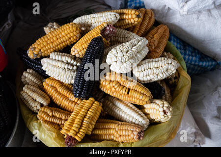 Mélange de variétés indigènes péruviens de heirloom corns du marché local Banque D'Images