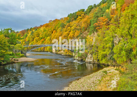 MORAY ECOSSE CRAIGELLACHIE TELFORD PONT SUR LA RIVIÈRE SPEY AVEC ARBRES EN AUTOMNE Banque D'Images