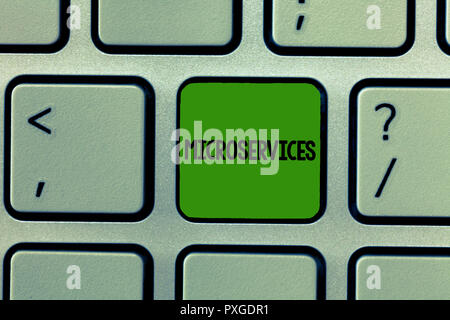 L'écriture de texte Word Microservices. Concept d'affaires pour le développement de logiciels de construction technique module de fonction unique. Banque D'Images