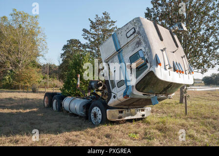 Chariot avec roues 18 Abandonné arbre qui grandit dans le milieu. Banque D'Images