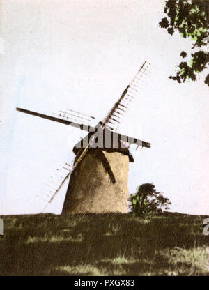 Bembridge, Île de Wight, Hampshire - le dernier moulin à vent Banque D'Images