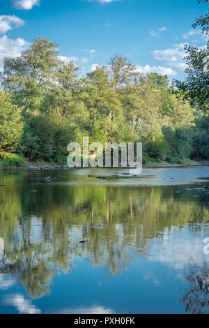 Rivière Thème, rivière en montagne, avec des rochers, arbres et végétation et image miroir dans l'eau Banque D'Images