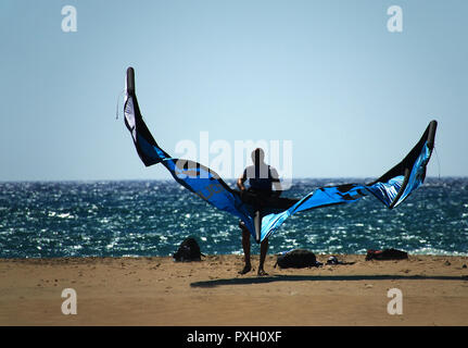 Kitesurfer mit Drachen am Strand, Plage, Dragon Banque D'Images