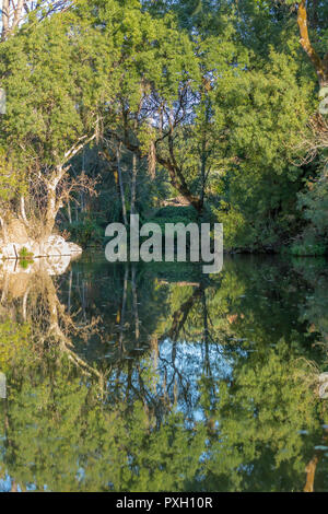 Rivière Thème, rivière en montagne, avec des rochers, arbres et végétation et image miroir dans l'eau, Portugal Banque D'Images