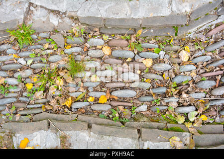 Les grosses pierres et cailloux énormes que décoratives, chemin tordu ou lit de fleur jaune avec des feuilles mortes sur le terrain Banque D'Images