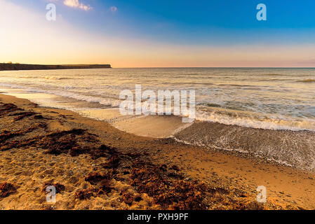 Vagues de la mer Noire, des algues sur la plage, Coucher de soleil sur la plage du Cap, l'hiver est vide Banque D'Images