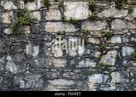Fragment de murs en maçonnerie faite de moellons recouverts d'herbe. Banque D'Images