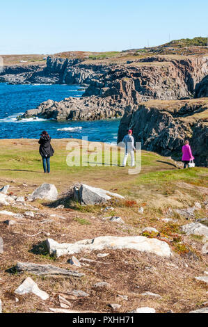 La côte nord de Terre-Neuve, près de Elliston sur la péninsule de Bonavista. Banque D'Images