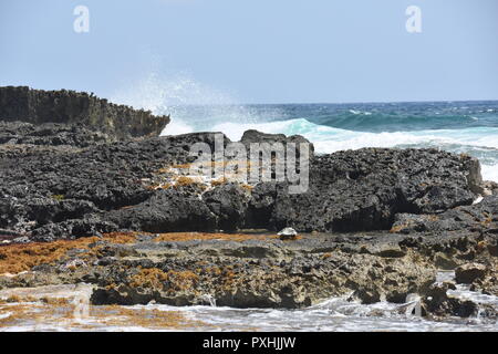 Les vagues sur la plage de l'île de Cozumel au Mexique Banque D'Images