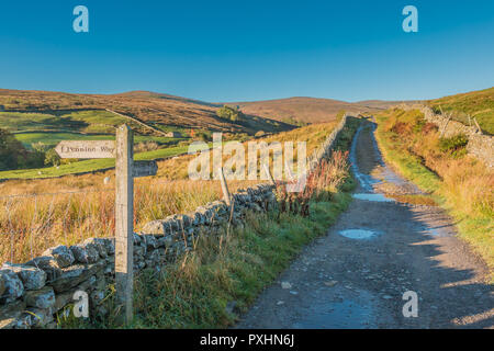 Yorkshire Dales National Park paysage d'automne, le Pennine Way sentier longue distance vers Shunner ont chuté, Swaledale Grand, UK en automne Sunshine Banque D'Images