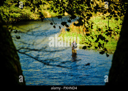 Un pêcheur sur la rivière Tweed près de Innerleithen, Scottish Borders Banque D'Images