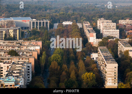 Portrait de l'arbre en automne et les appartements à Plovdiv, Bulgarie Banque D'Images