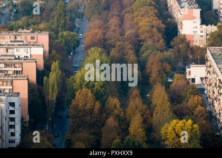 Portrait de l'arbre en automne et les appartements à Plovdiv, Bulgarie Banque D'Images