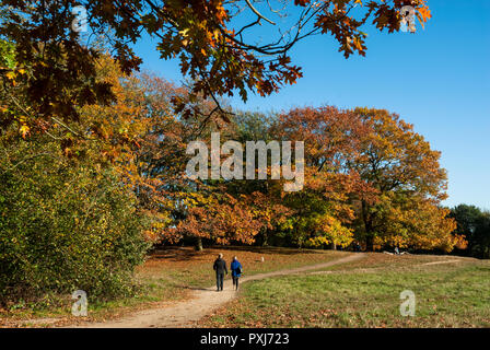 Belles couleurs automnales en après-midi contre soleil ciel bleu. Dans la distance de marche sont un couple sur un chemin. Hampstead Heath, Londres, Royaume-Uni. Banque D'Images