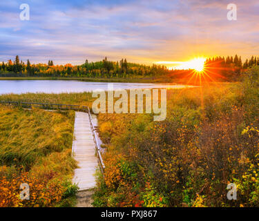 Coucher du soleil sur l'automne Ominik Marsh Boardwalk Trail, Parc national du Mont-Riding, Manitoba, Canada. Banque D'Images