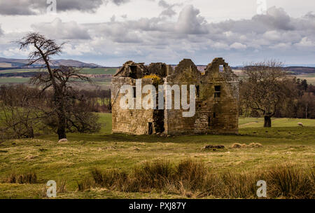 La maison-tour médiévale ruinée Hepburn dans Northumberland Park Chillingham Banque D'Images