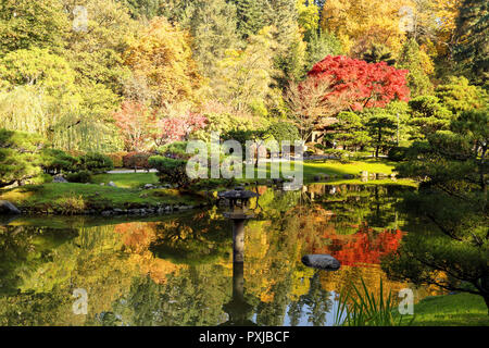 Plein de belles couleurs d'automne au jardin japonais, Seattle Washington Banque D'Images