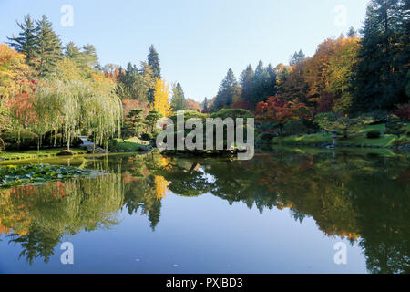 Plein de belles couleurs d'automne au jardin japonais, Seattle Washington Banque D'Images